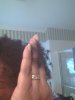 IMG_20130421_083141_140.jpg