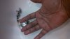 IMG_20130421_095205_773.jpg