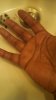 IMG_20130421_095420_572.jpg