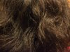 ForumRunner_20130718_083928.jpg