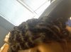 bantu knots 8.26.jpg