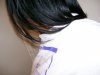 november2008update5.jpg