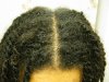 Hair Growth Challenge January 2014 009.jpg
