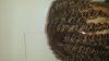 ForumRunner_20140128_093343.jpg