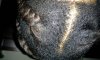 20140525_084947.jpg