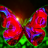 butterfli