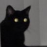 ChocoKitty