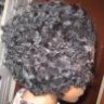 NaturalJael