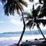 a_ caribbean_dream