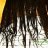 Tresses