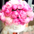 DocVina9683