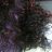 hairspan